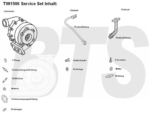 BTS TURBO Компрессор, наддув T981506